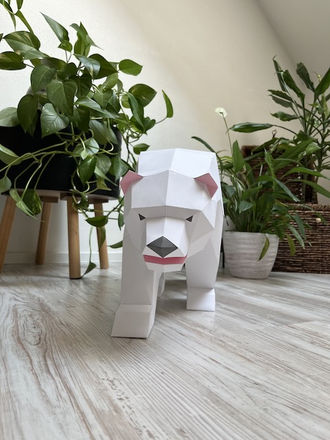 Leďous